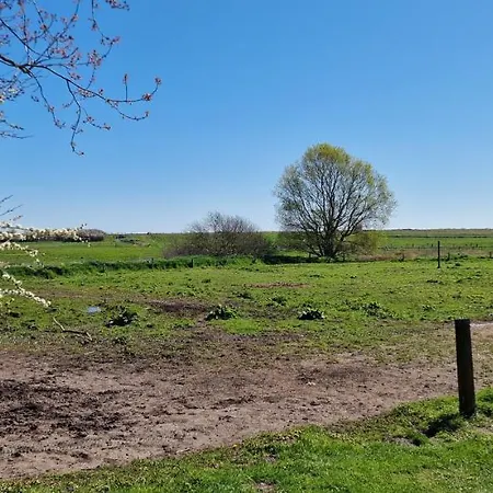'gelting' - Refugium Pottloch Ostsee *